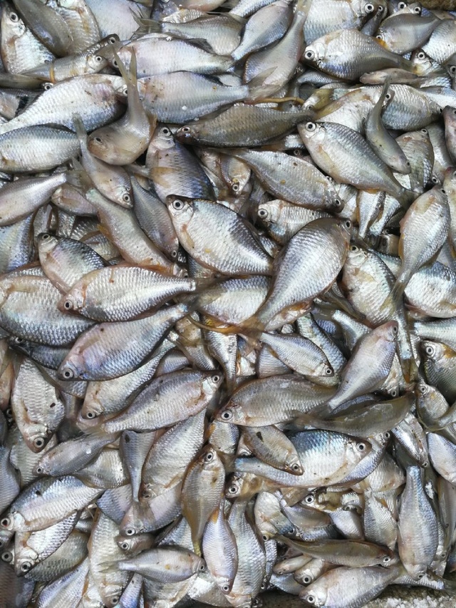 今晚!央视直播CBA周琦大战郭艾伦,新疆或送辽宁新赛季首败【BJL平台集团】(图3) BJL平台