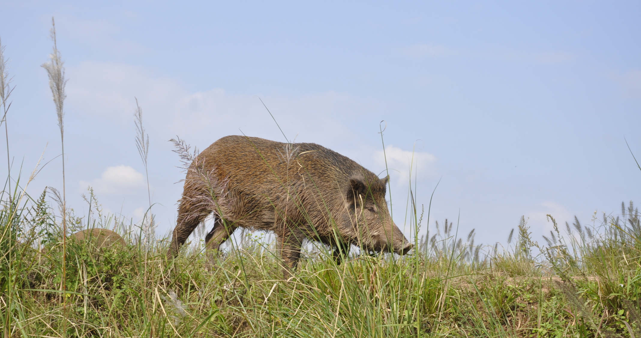 今晚!央视直播CBA周琦大战郭艾伦,新疆或送辽宁新赛季首败【BJL平台集团】(图2) BJL平台集团