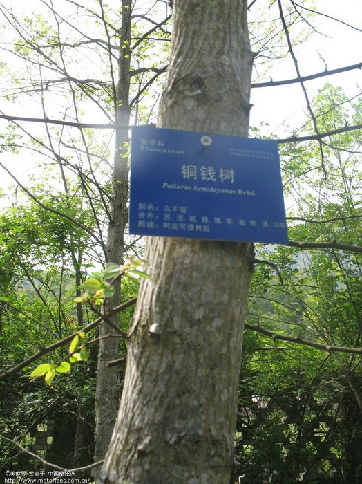 伊利亚索瓦加盟老鹰:BJL平台(图2) BJL平台集团