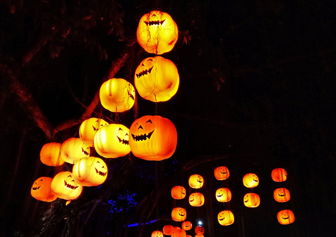 BJL平台集团_2016重庆巴蜀中学艺体生考试项目-重庆小升初(图2) BJL平台