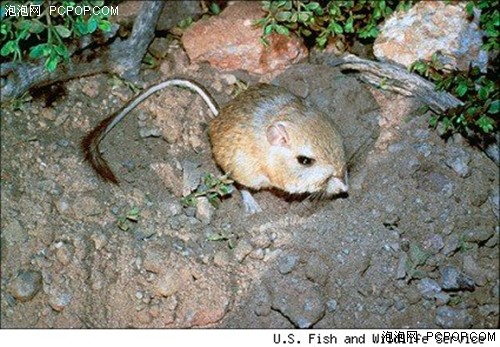 2018常州市河海中学招生简章-常州小升初|BJL平台(图2) BJL平台集团