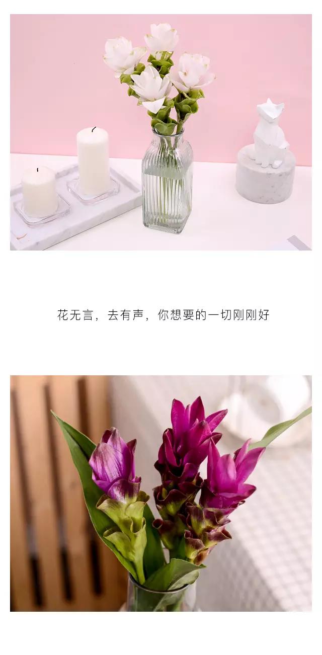 BJL平台集团
